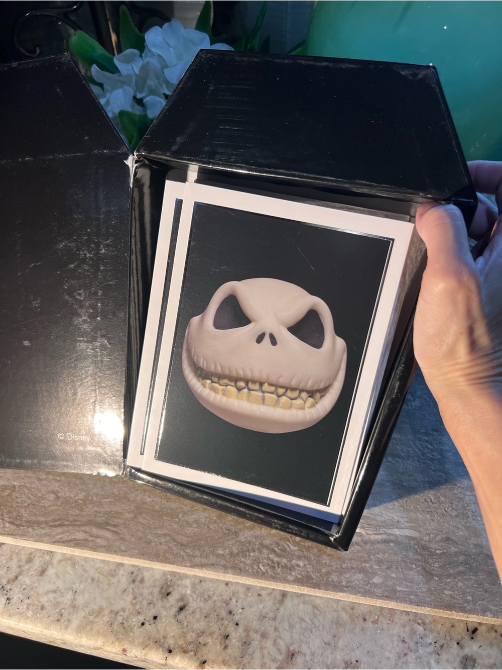 Disney The Nightmare Before Christmas Black & White Coffin Boxed Cards Set (20)